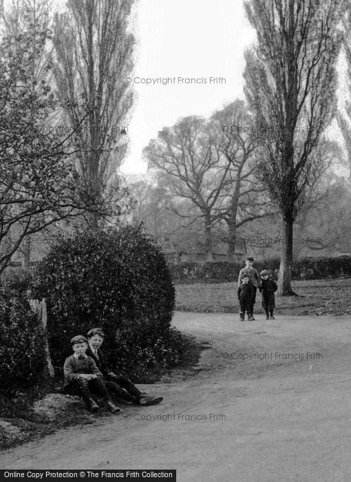 Photo of Tandridge, Children At The Cage 1906