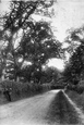 Priory Lane 1907, Tandridge