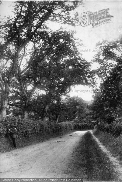 Photo of Tandridge, Priory Lane 1907 - Francis Frith