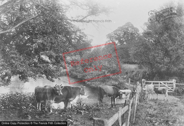 Photo of Tandridge, Priory Pond 1907