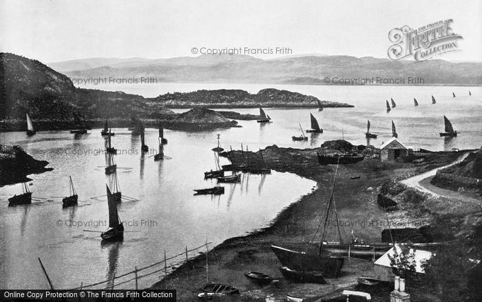 Photo of Tarbert, Fishing Boats Going Out c.1895