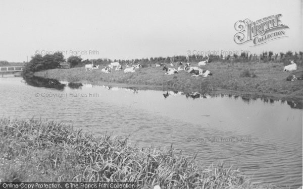 Photo of Tarleton, Canal Walk c.1955
