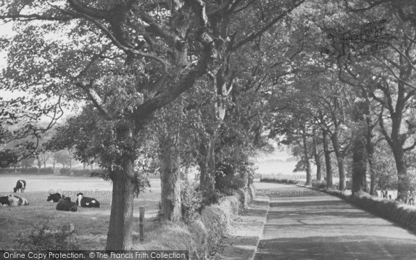 Photo of Tarporley, Forest Road c.1955