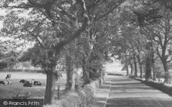 Forest Road c.1955, Tarporley