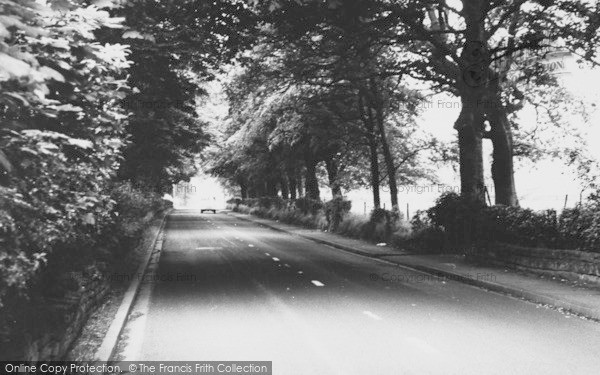 Photo of Tarporley, Forest Road c.1965