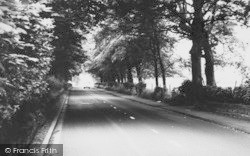 Forest Road c.1965, Tarporley