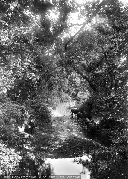 Photo of Taunton, Batt's Park 1902