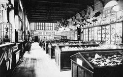 Castle Museum, The Great Hall c.1900, Taunton