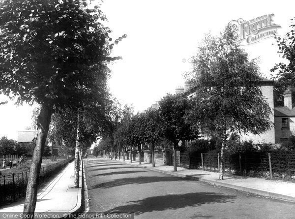 Photo of Taunton, Elm Grove 1901