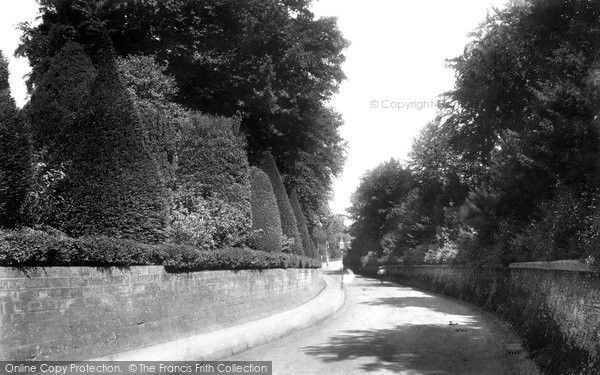 Photo of Taunton, Honiton Road 1902