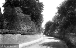 Honiton Road 1902, Taunton