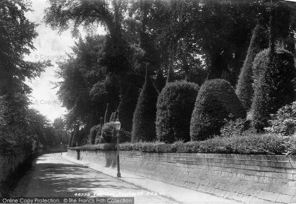 Photo of Taunton, Honiton Road 1902