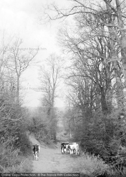 Photo of Taunton, Old Roman Road 1906