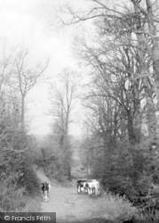 Old Roman Road 1906, Taunton
