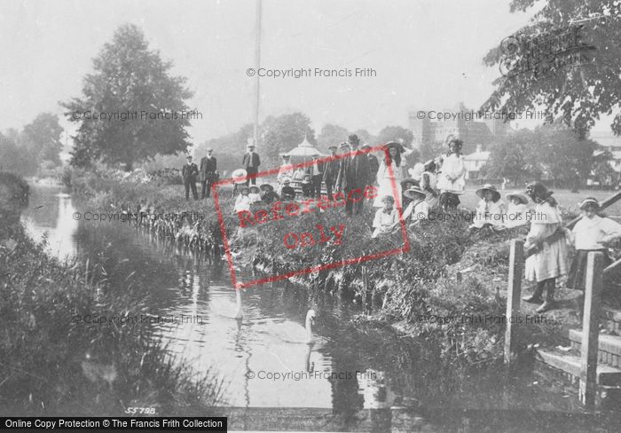 Photo of Taunton, Vivary Park, Feeding Swans 1906