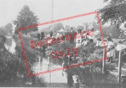 Vivary Park, Feeding Swans 1906, Taunton
