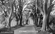 Beach Avenue c.1960, Taverham