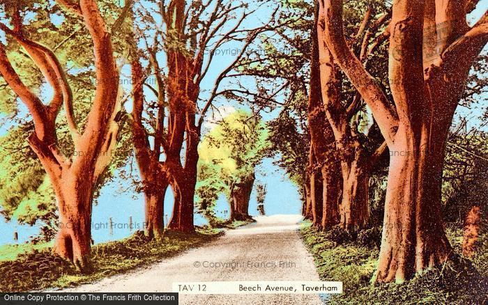 Photo of Taverham, Beech Avenue c.1960