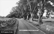Beech Avenue c.1960, Taverham