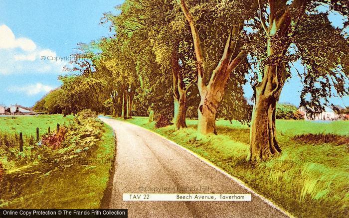 Photo of Taverham, Beech Avenue c.1960