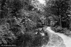 Canal Walk c.1890, Tavistock