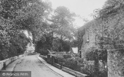 Dolvin Road 1910, Tavistock