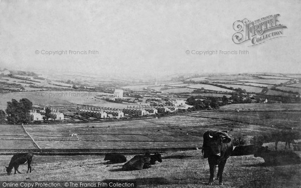 Photo of Tavistock, The Cemetery 1890