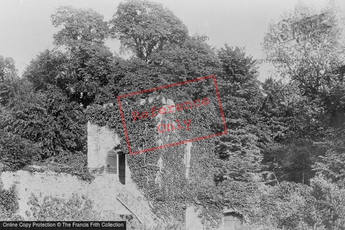 Photo of Tavistock, The Still Tower From Vicarage Gardens 1893