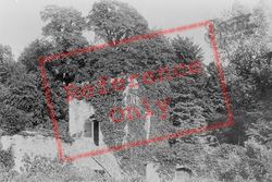 The Still Tower From Vicarage Gardens 1893, Tavistock