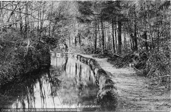 Photo of Tavistock, View On The Canal 1906