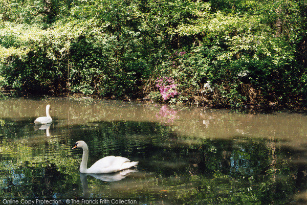 Photo of Teddington, Woodland Gardens 2005