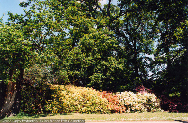 Photo of Teddington, Woodland Gardens 2005