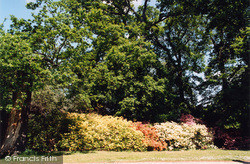 Woodland Gardens 2005, Teddington