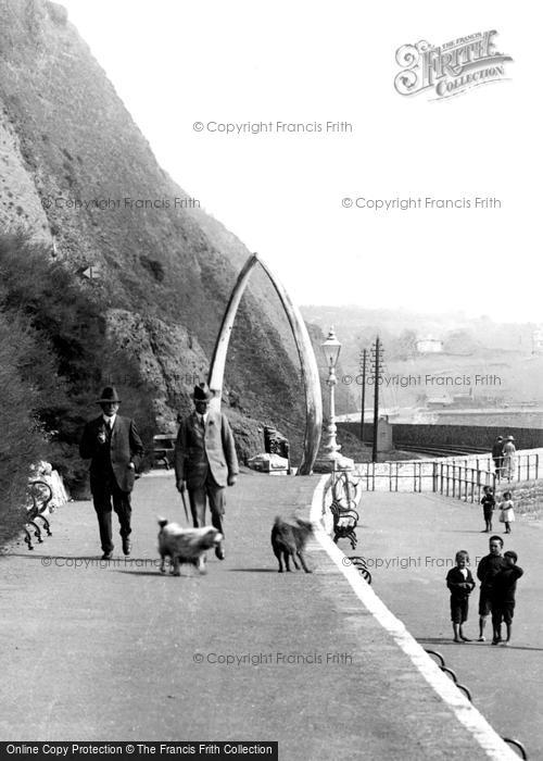 Photo of Teignmouth, The Terrace Walk And Whale Bones 1918