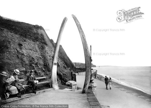 Photo of Teignmouth, Whale Bones 1922