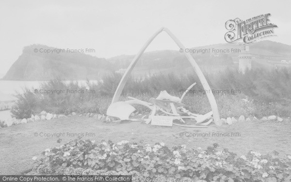 Photo of Teignmouth, Whale Bones And Ness 1922