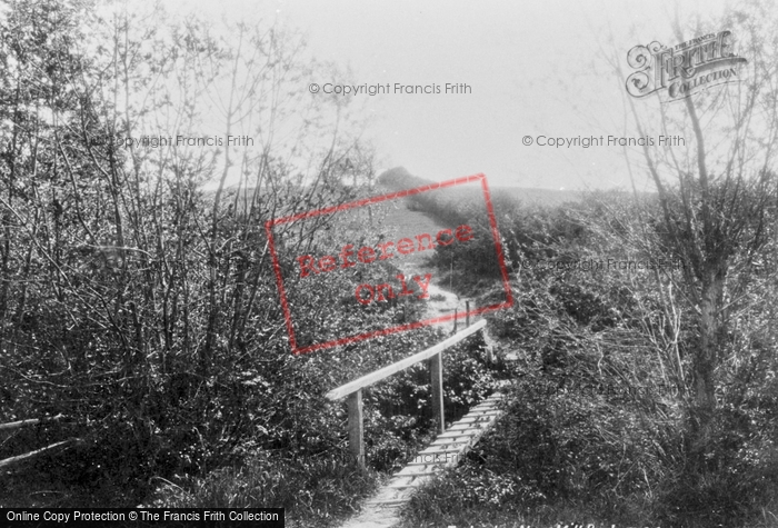 Photo of Tenterden, Near The Mill Pond 1901