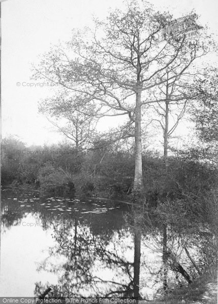 Photo of Tenterden, The Mill Pond 1903