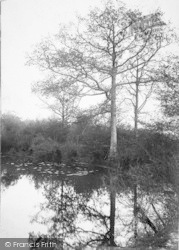 The Mill Pond 1903, Tenterden