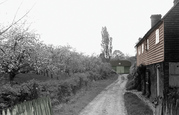 Typical Kent Orchard Cottage And Oast House c.1950, Tenterden
