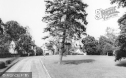 The Green c.1965, Terling