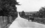 Frensham Road From Gong Hill 1909, The Bourne