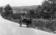 Horse And Cart, Frensham Road 1909, The Bourne
