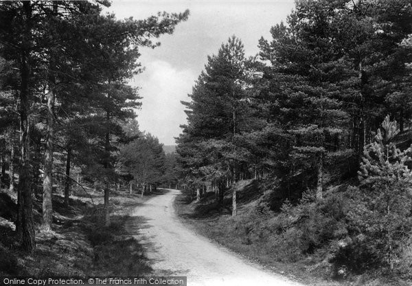 Photo of The Bourne, Old Frensham Road 1909