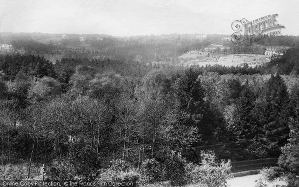 Photo of The Bourne, Pine Ridge From Frensham Vale 1909