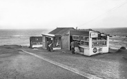 The c.1960, Lizard