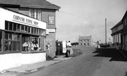 The c.1960, Lizard