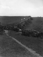 The Double Hedge Path To Kynance Cove 1927, Lizard