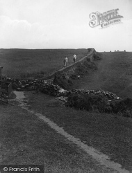 The Double Hedge Path To Kynance Cove 1927, Lizard