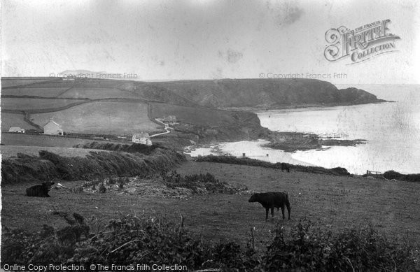 Photo of The Lizard, Gunwallae Fishing Cove 1911